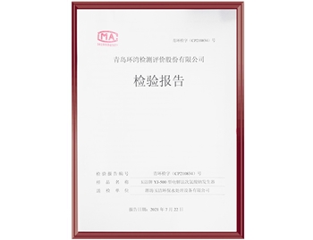 檢測報告