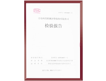 檢測報告