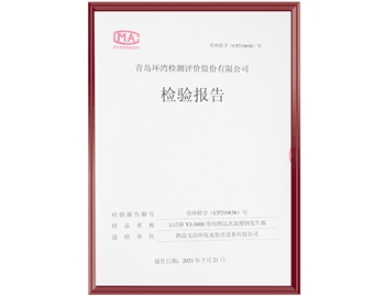 檢測報告